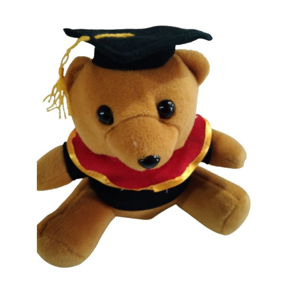 BONEKA SARJANA BONEKA SOVENIR 20CM SNI