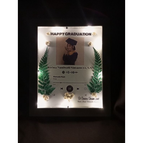 frame 3d LED spotify