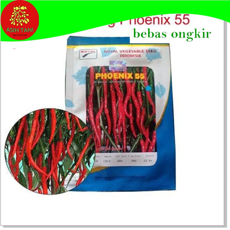 Benih Cabe Keriting Phoenix 55 Royal Seed