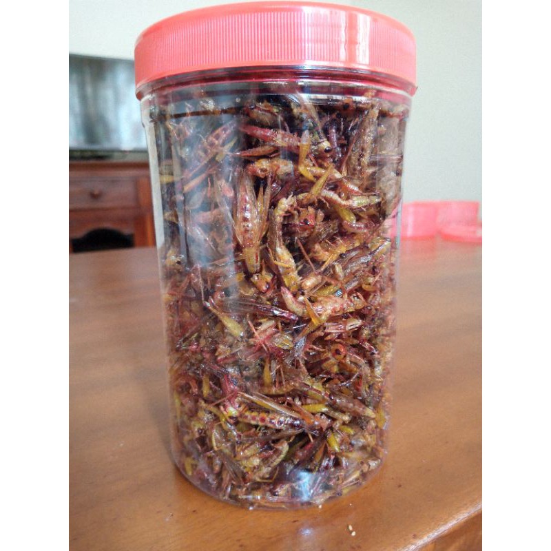 

Belalang Goreng Kecil Toples Sosis Besar