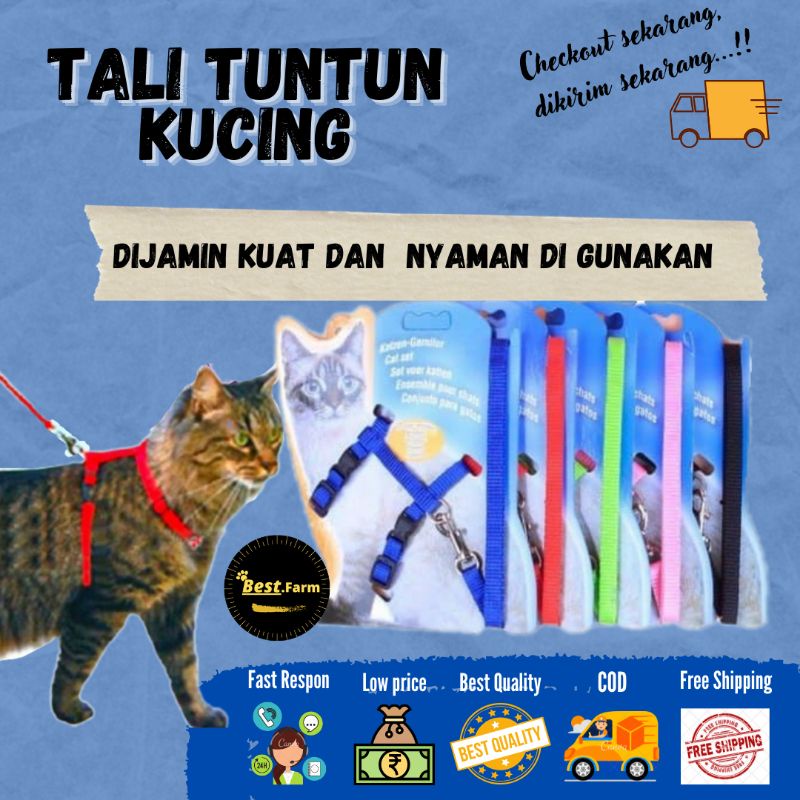 tali tuntun hewan kucing Musang kelinci best.fram