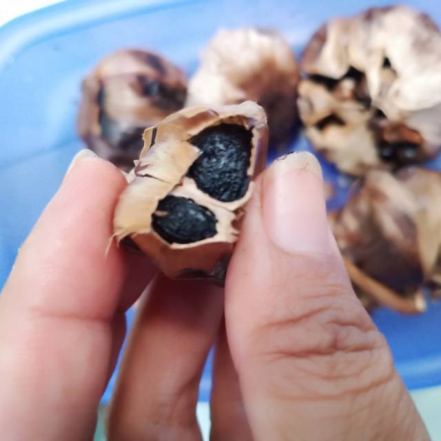 

Black garlic(bawang hitam)