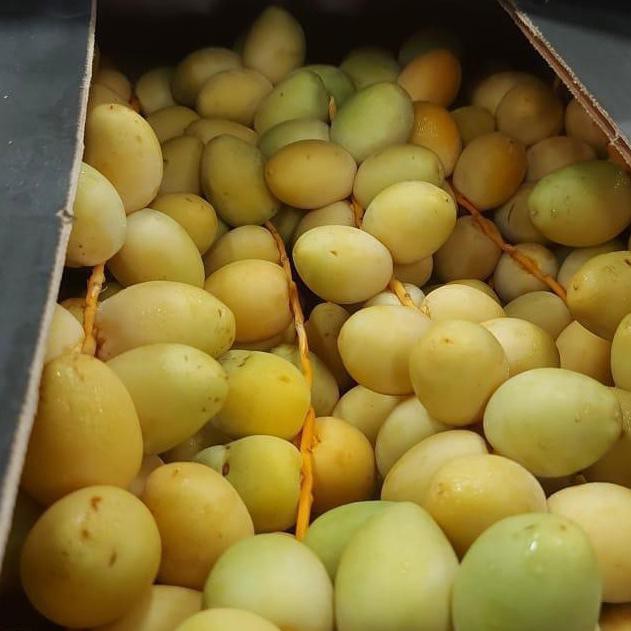 

Kurma Muda - 500Gr Arkanamarketht