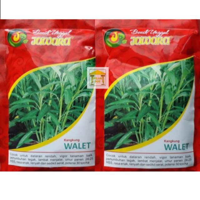 Benih bibit kangkung walet 100 gr - produk jawara