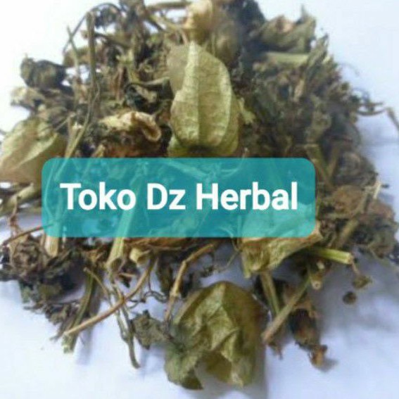 

Paket hemat 250 gram daun ciplukan kering-az