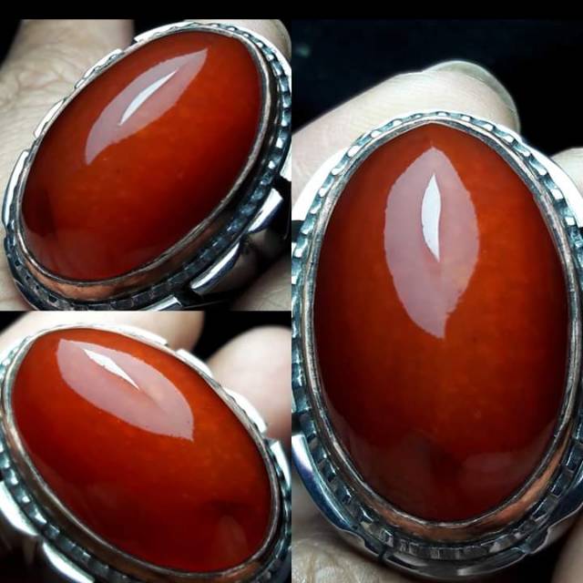 

Pandan merah redish sisik betik