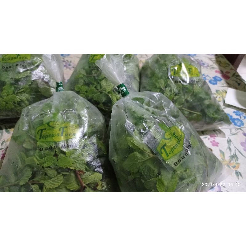 

PETIKAN DAUN MINT (60GR)