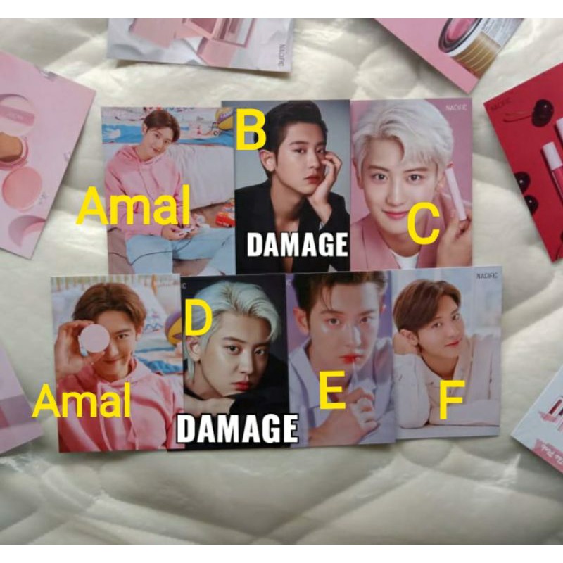 CHANYEOL - POSTCARD CHANYEOL NACIFIC OFFICIAL