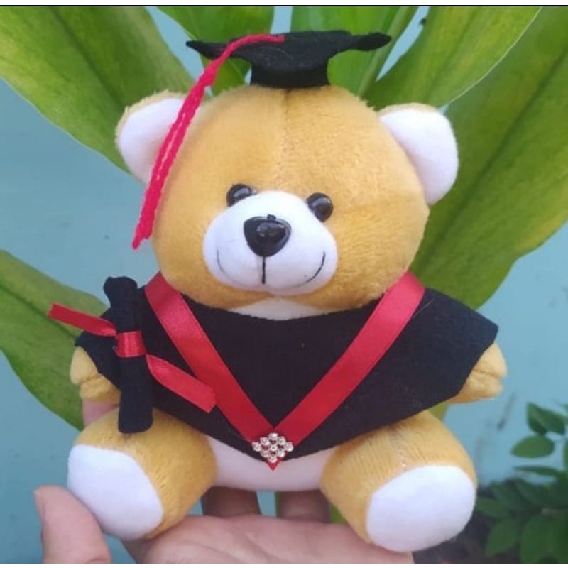 Boneka Wisuda  hiasan bucket/ Boneka wisuda untuk Hampers