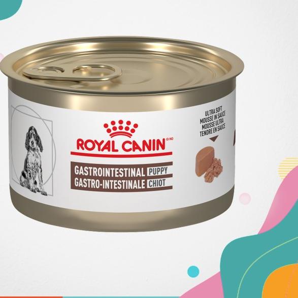 ROYAL CANIN/ GASTROINTESTINAL PUPPY/ MAKANAN ANAK ANJING/ KALENG/