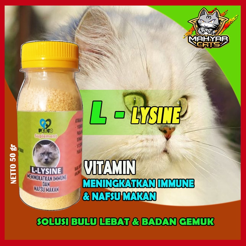 BIO LYSINE 50GR | Vitamin Kucing | vitamin nafsu Makan Penggemuk Badan