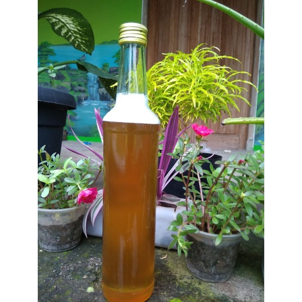 

madu asli kemasan 600gr