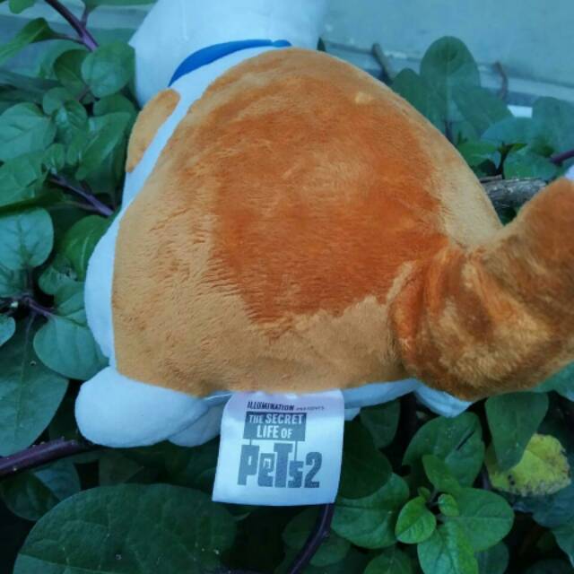Boneka The Secret Life Of Pets Ori Shopee Indonesia