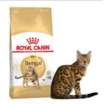 Royal Canin Bengal Adult 2kg makanan kucing Royal Canin