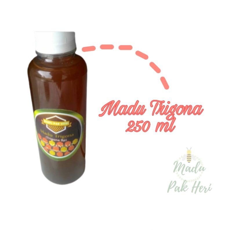 

Madu Trigona_Madu Pak Heri 250 gr