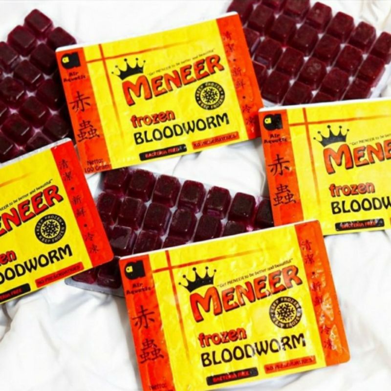 Pakan Ikan Cacing Beku Meneer Frozen Blood Worm Kapsul 1Kg 10 Pcs