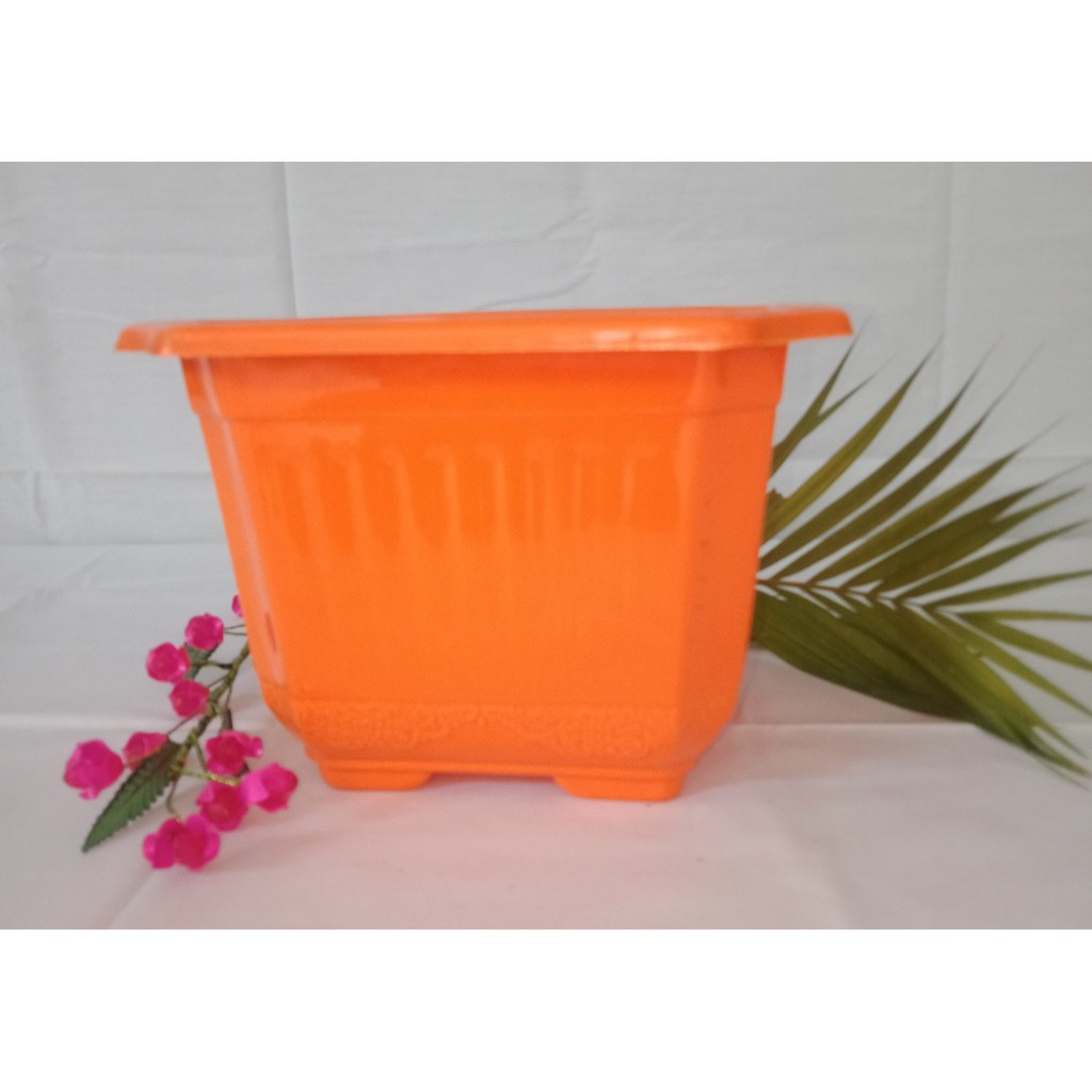 Pot plastik kotak lucky star