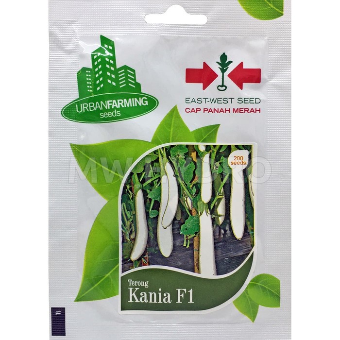 Benih Bibit Terong Putih KANIA F1 - Cap Panah Merah (Kemasan Pabrik)
