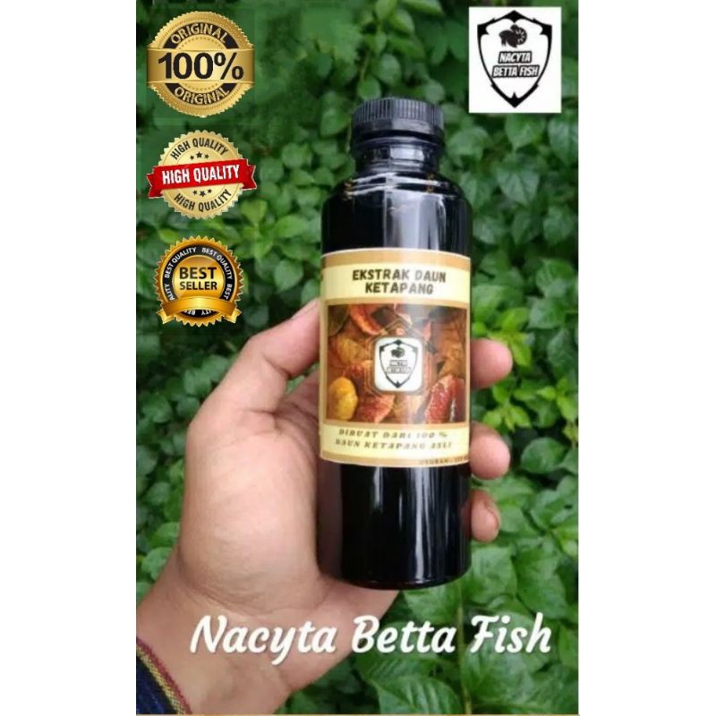 Ekstrak Daun Ketapang Olahan 100% ketapang asli 250 ml
