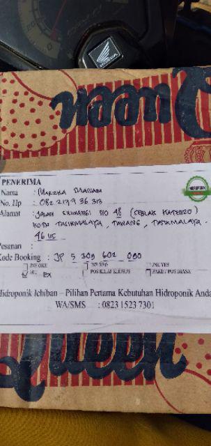 Benih Bibit Biji Wheat Grass Microgreen Rumput Gandum Kemasan Alumunium Foil