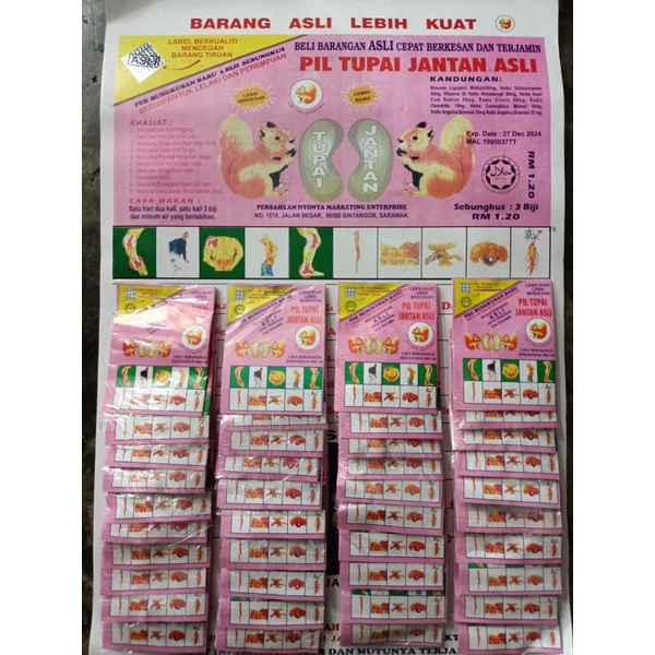 Pil Tupai Jantan Asli