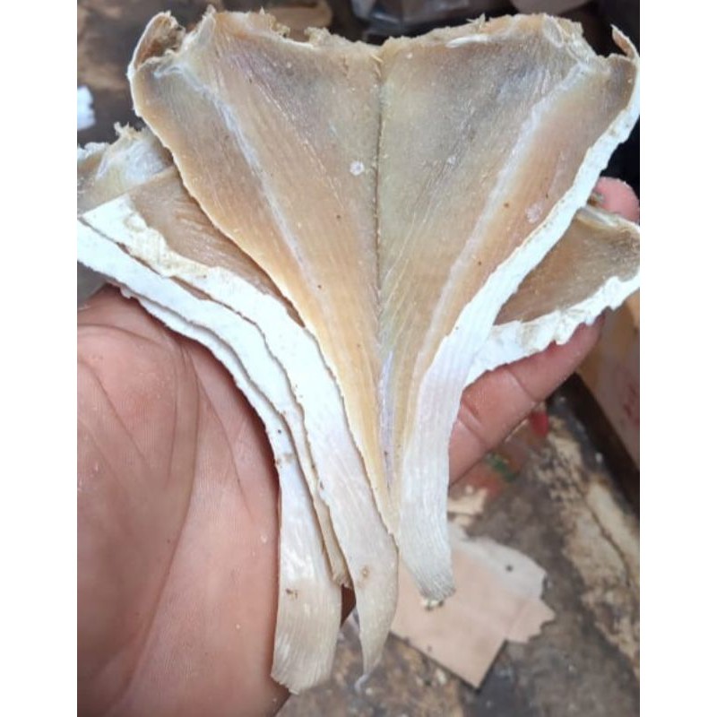 

pari belah kering 1kg harga termurah