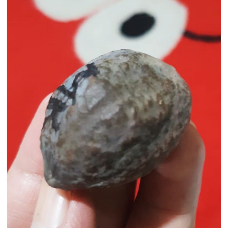 Muncang Adu Mantili Ori