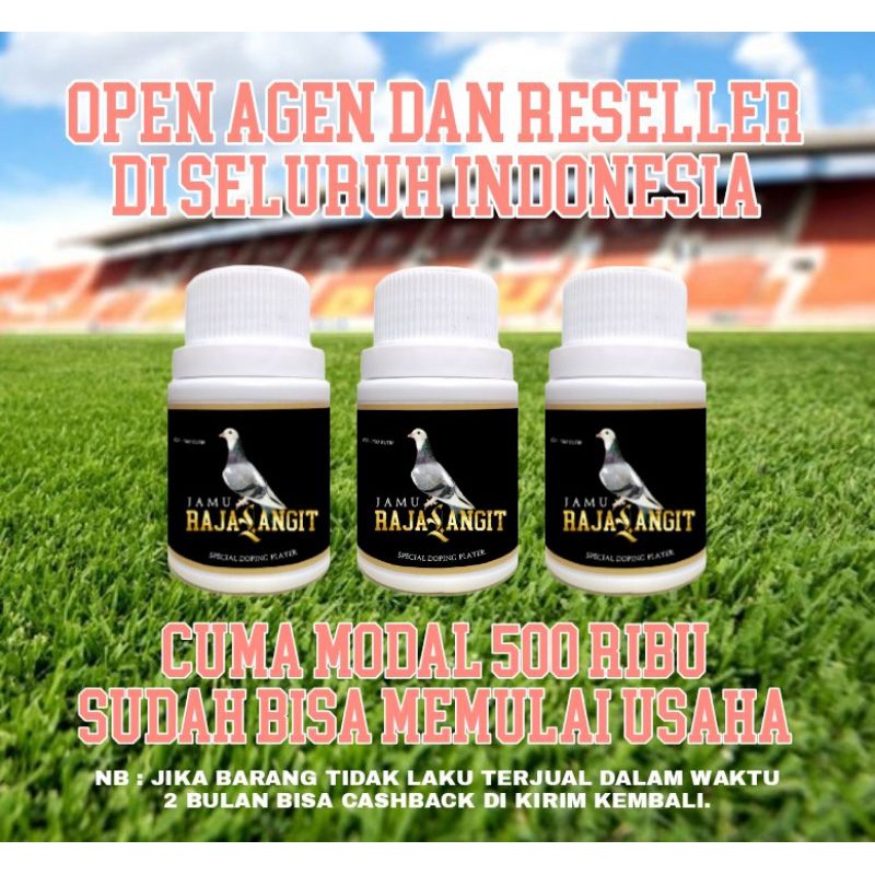 

CUMA MODAL 500 RIBU DAPAT 15 BOTOL JAMU