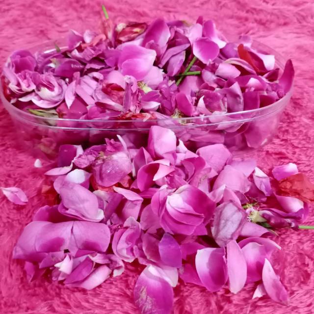 Bunga tabur Mawar asli