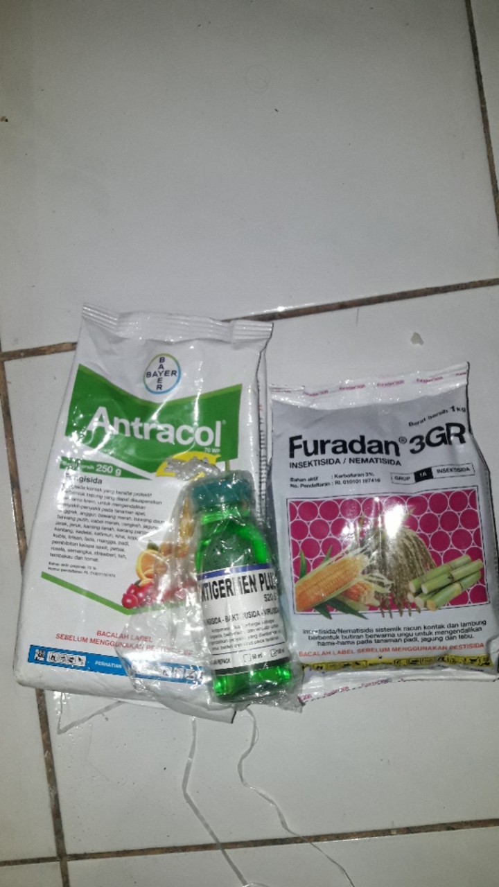 Furadan 1kg Furadan Tanaman Furadan Anti Hama