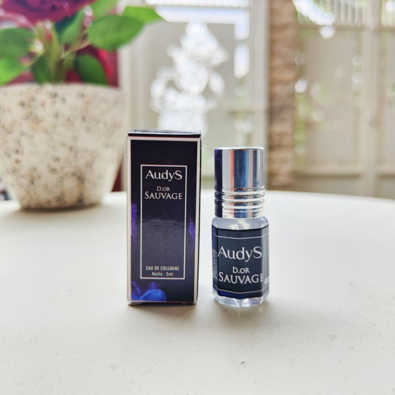 Roll on Audys Parfum Dior Sauvauge Roll on 3ml