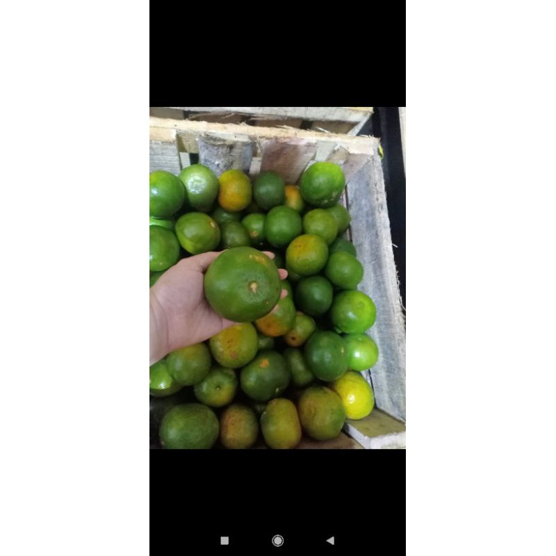

Jeruk Madu Kalimantan