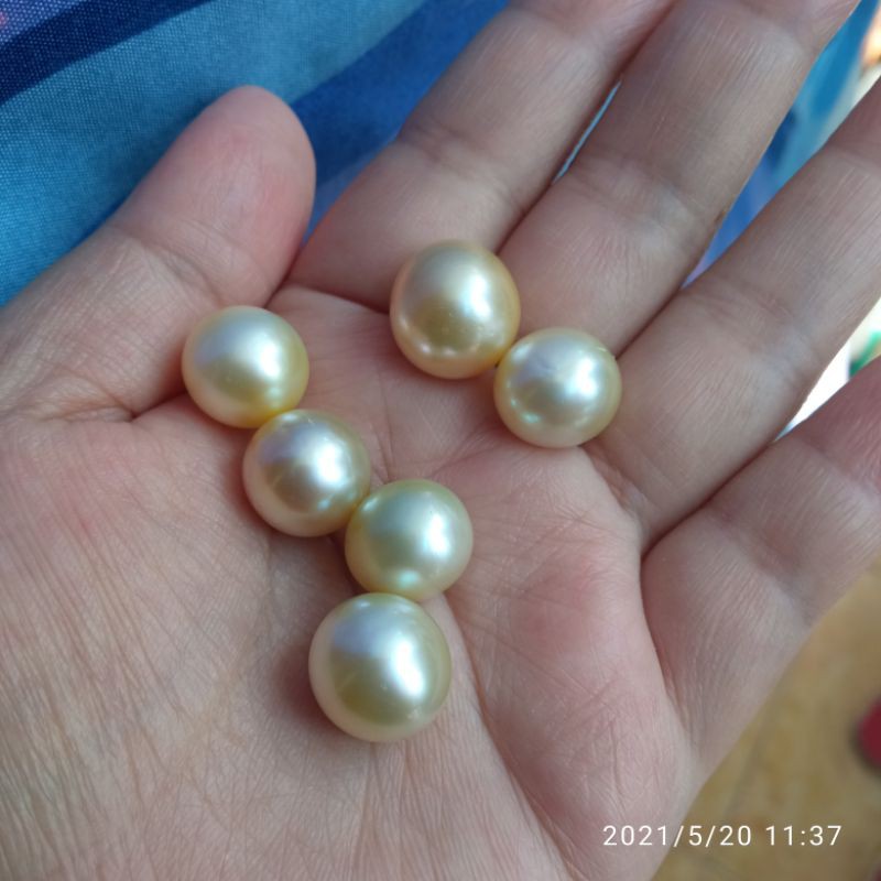 Butiran mutiara air laut asli lombok 6 butiran besar cantik