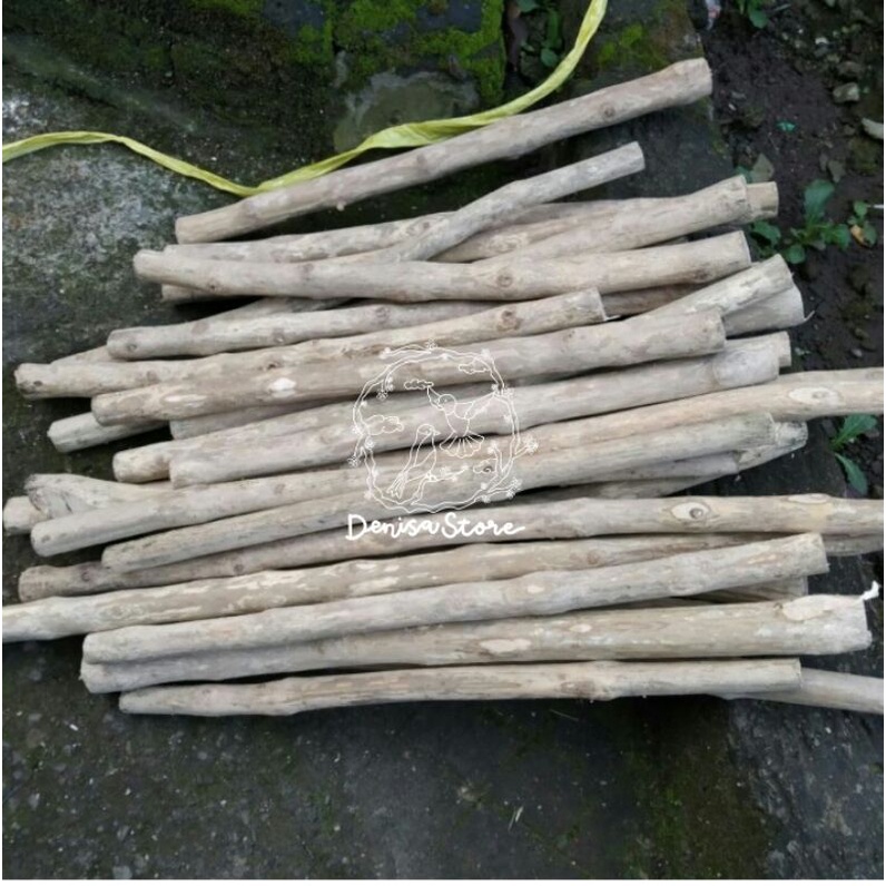 Kayu Kopi Untuk Tangkringan Burung Falk Nuri Kakatua Sunconure