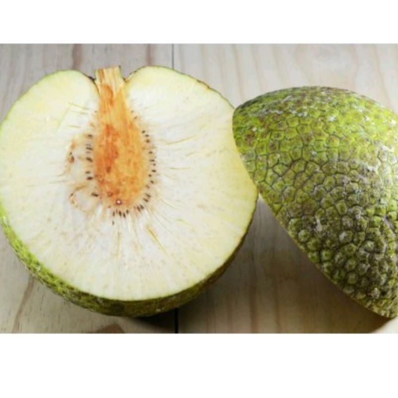 

Buah Sukun Per Biji Ukuran Sedang