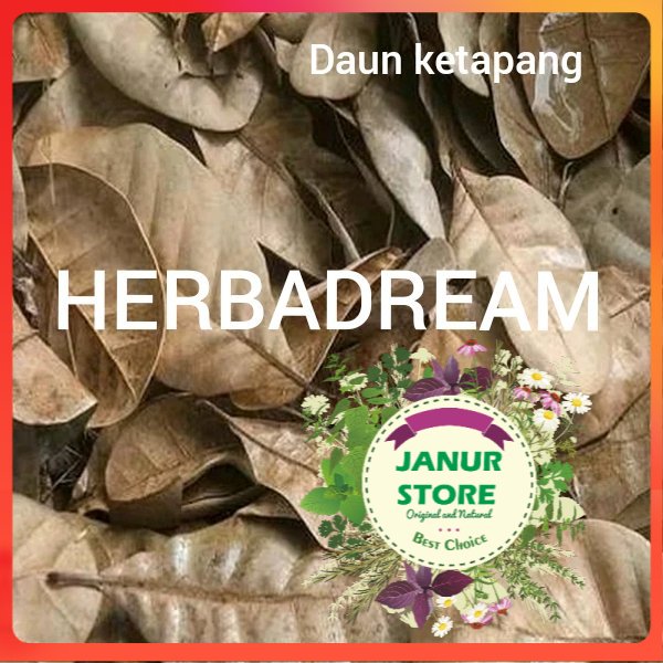 

DAUN KETAPANG KERING 250 GRAM - Terminalia Catappa - MURNI - JSR - REMPAH