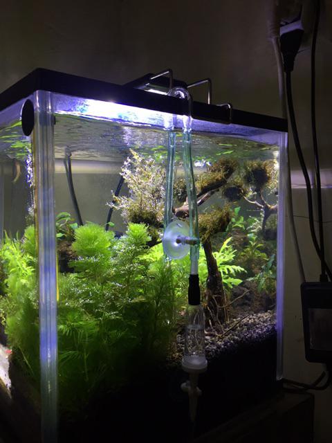 Diy Fish Tank Aerator