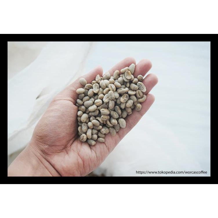 

Papua Wamena Arabica Green Bean 1Kg (Biji Kopi Mentah) New