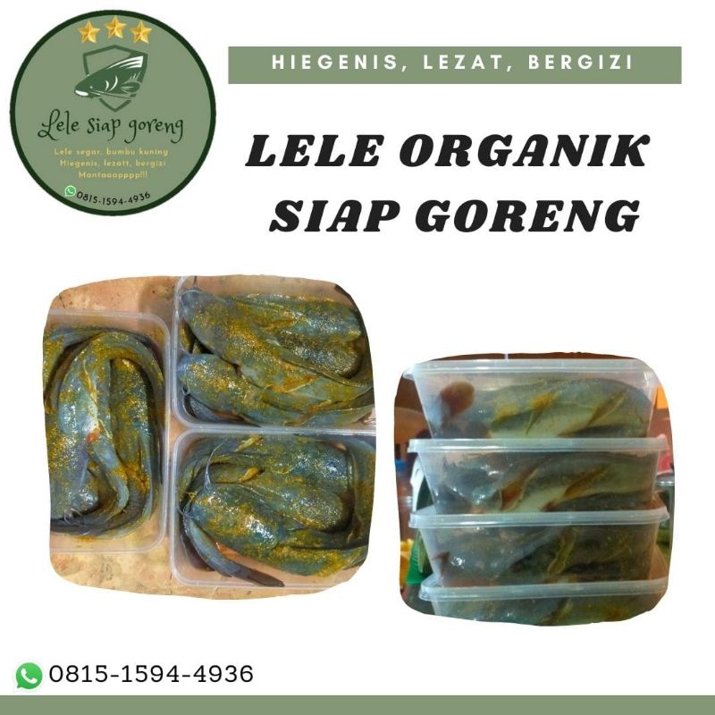 

lele bumbu siap goreng isi 4-5 | Lele Fresh | Lele Organik | Makanan Praktis