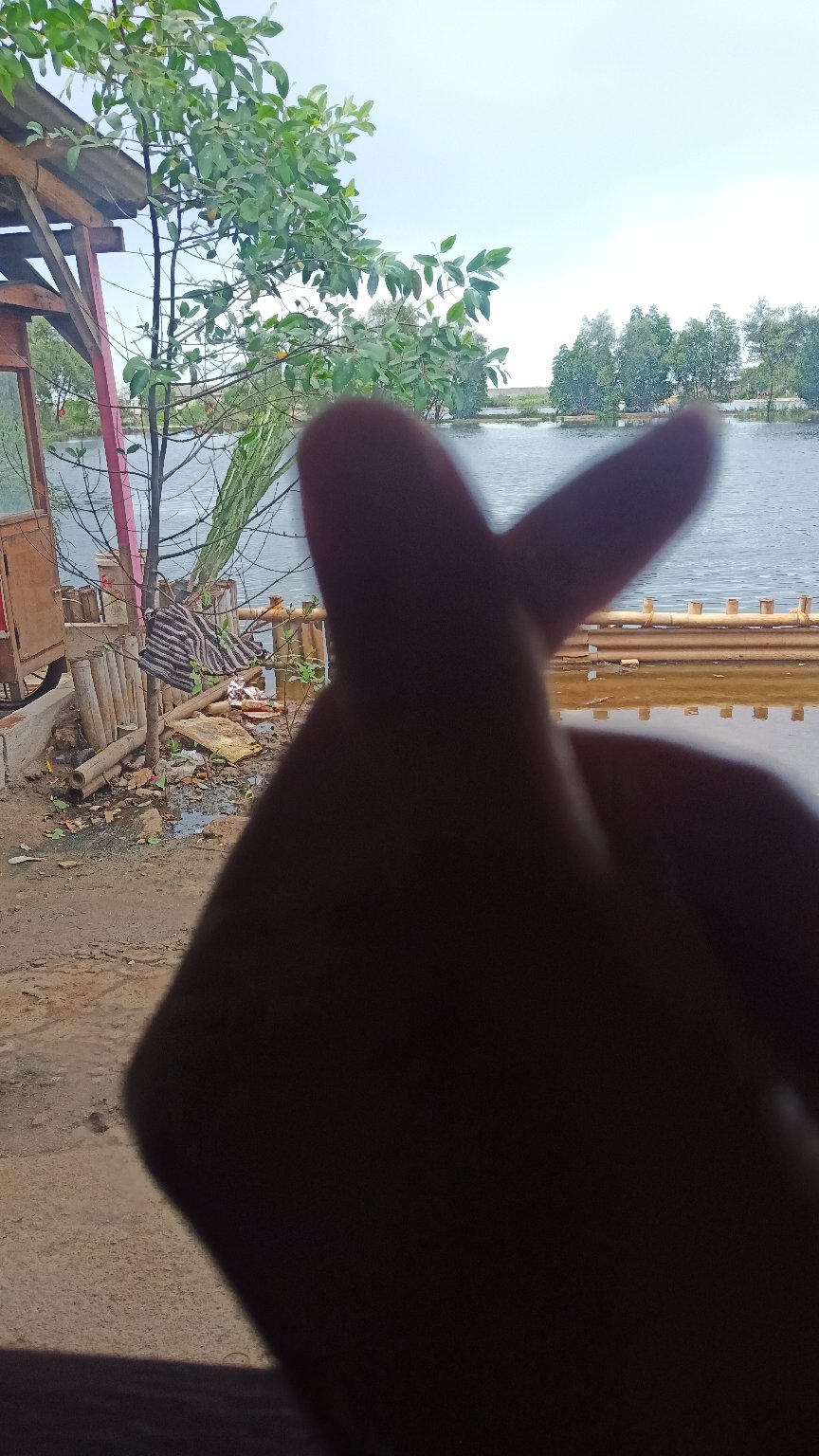 Batik Pria Untungga Lapis Furing Katun Halus Sragenan Size M-xxl Asli Solo High Quality