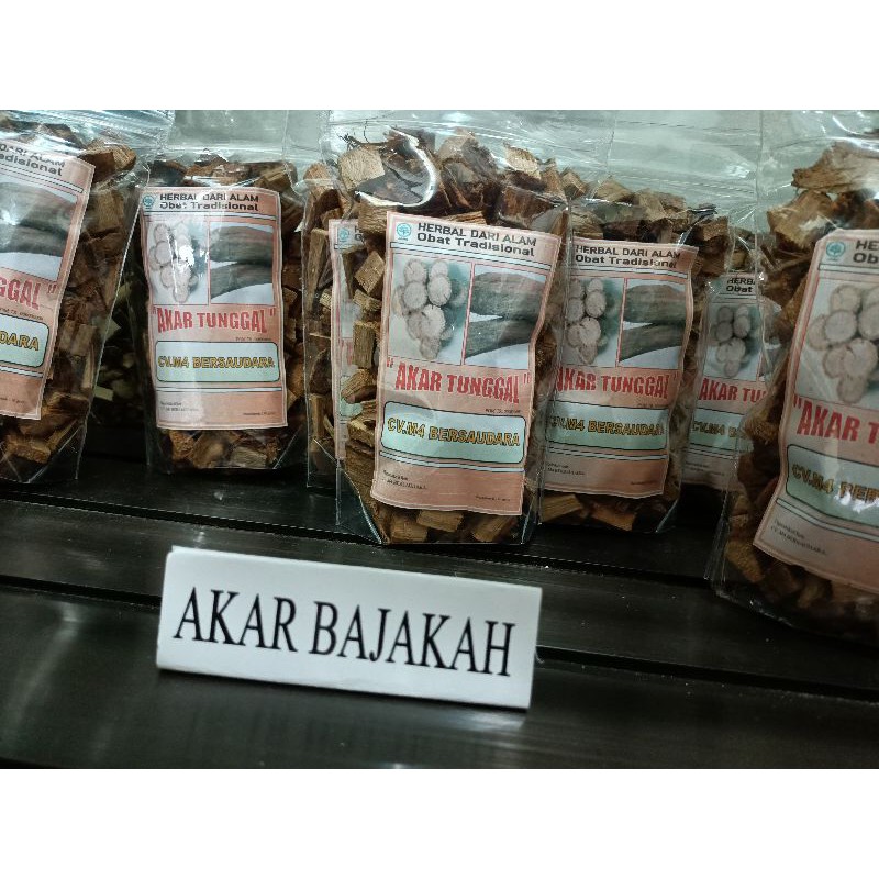 

akar bajakah