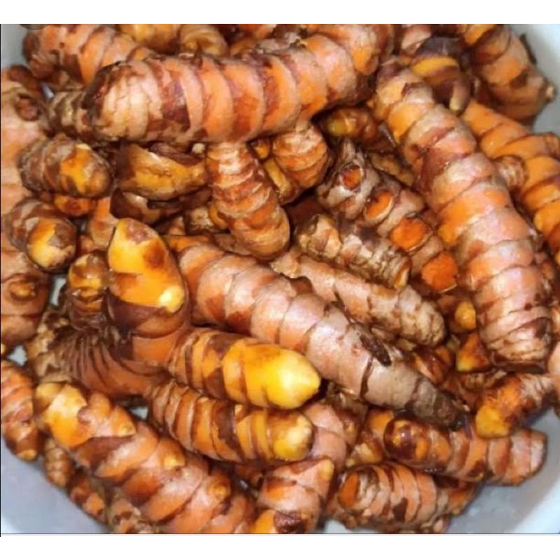 

Kunyit segar