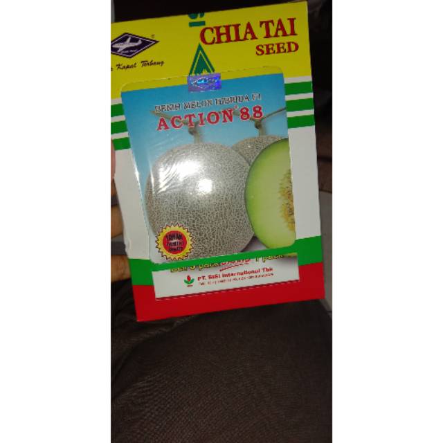 MELON HIBRIDA ACTION 88 BISI CAP KAPAL TERBANG