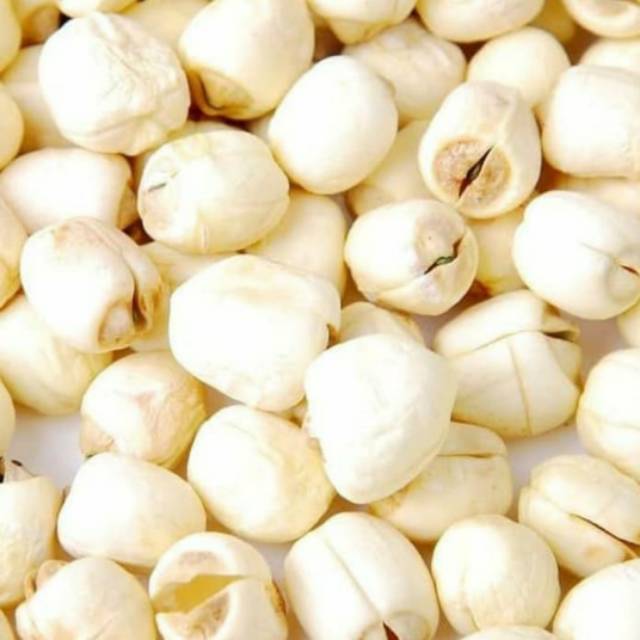 

Biji teratai 40 gram