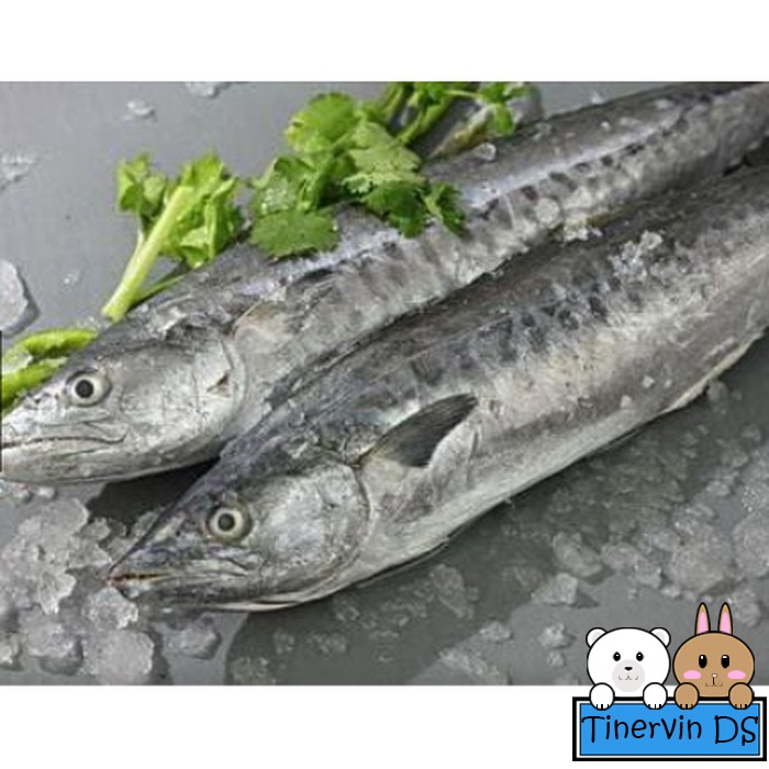 

Essence Ikan Tenggiri / Perisa Tenggiri / Esen Tenggiri 250 cc