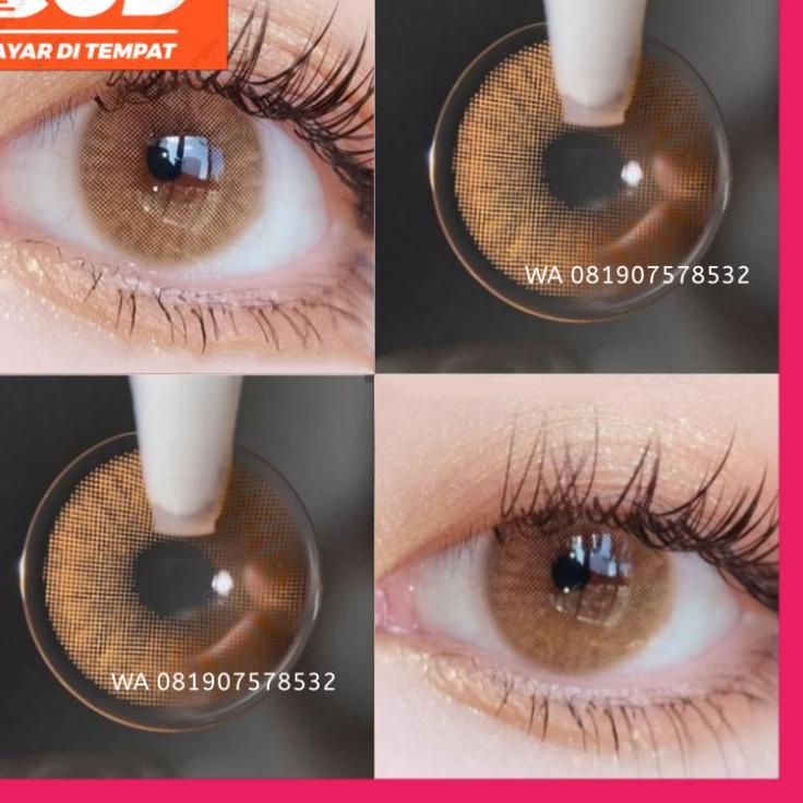 ➢ SOFLENS BROWN Softlens Normal Softlens Minus Softlens Brown Soflens Normal Soflen Brown soflen ➻