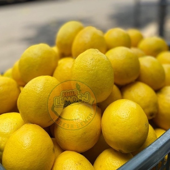 Jeruk Lemon California 500 gr 1/2 KG by Suur Lemoen ID