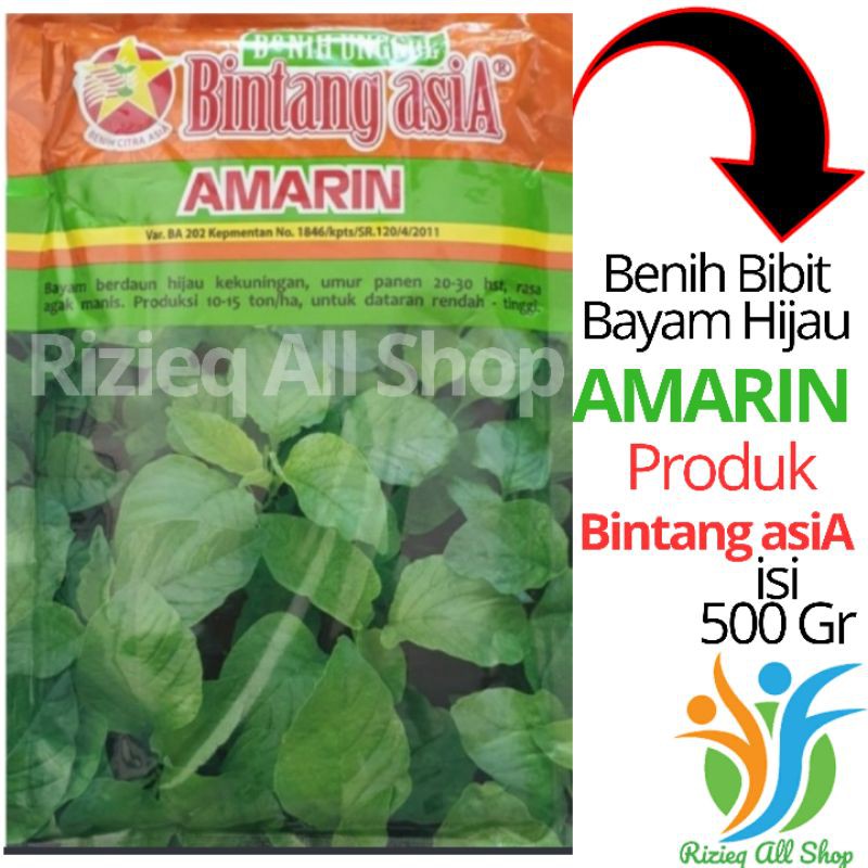 Jual Benih Bibit Bayam Hijau Amarin Isi 500 Gr Benih Bayam Hijau Produk