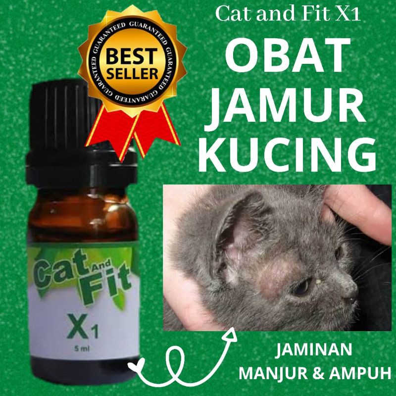 {PROMO!!!} PAKET OBAT KUCING CAT AND FIT X1 DAN SHAMPOO V1 OBAT JAMUR KUTU SCABIES RINGWORM KUCING