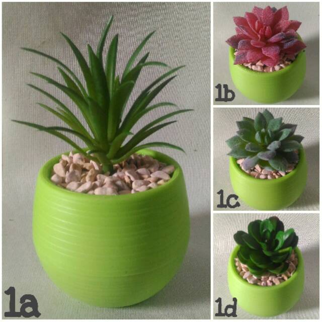 Set Pot Plastik Sukulen Artificial Palsu Imitasi Vas Mini Plastik Sekulen Kaktus Cactus Succulent